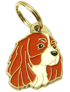 CAVALIER KING CHARLES SPANIEL BLENHEIM <br> (medagliette per cani, L’incisione è inclusa nel prezzo)